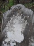 image of grave number 447029